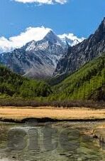梦幻手游九游app-梦幻手游九游App，掌握更多精彩的感觉