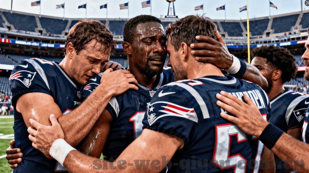 森林舞会新手送金币-森林舞会，新手在绿意盎然中的金币之旅